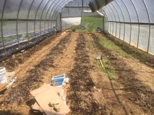 Early days of Crawdad Hoop House