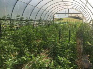 Crawdad Hoop House busting at the seems