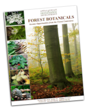 Income Opportunities from the Forest Understory