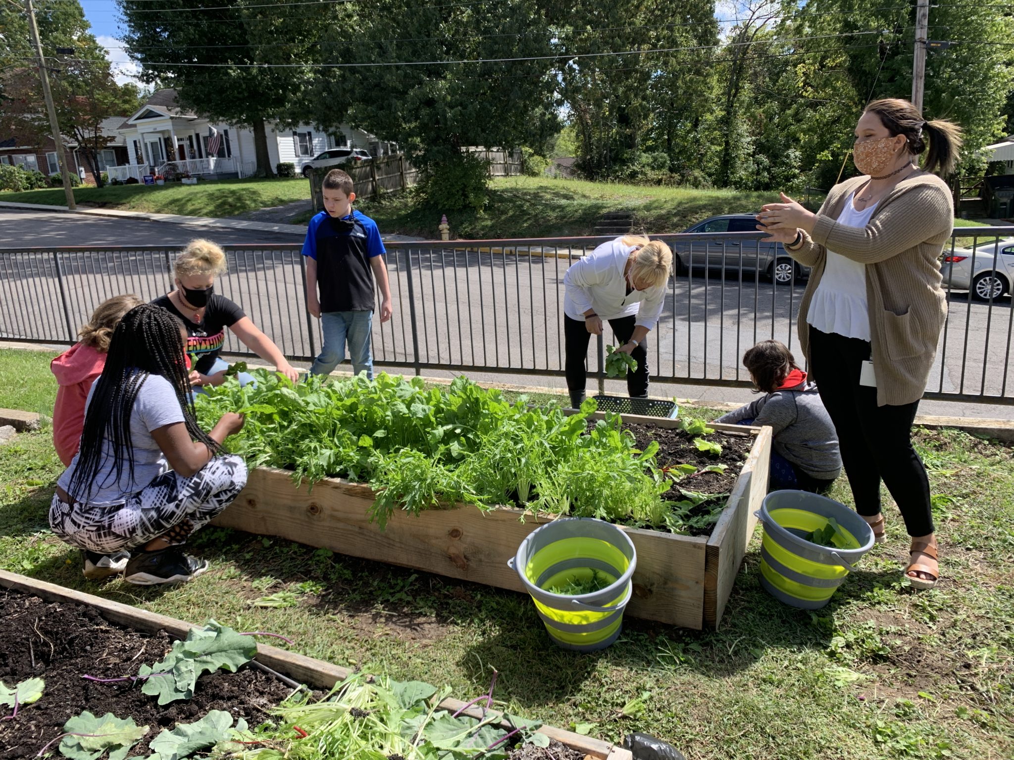 Learning Landscapes - Appalachian Sustainable Development