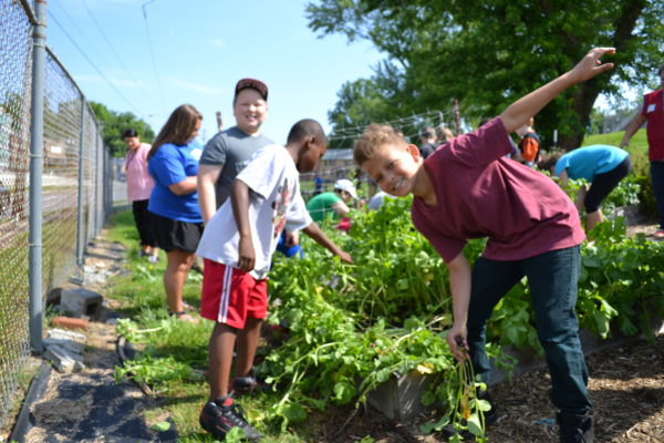 Appalachian Sustainable Development