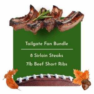 Tailgate Fan Bundle