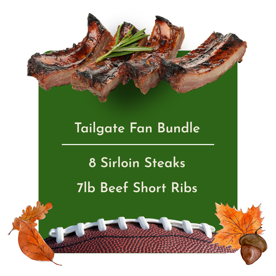 Tailgate Fan Bundle