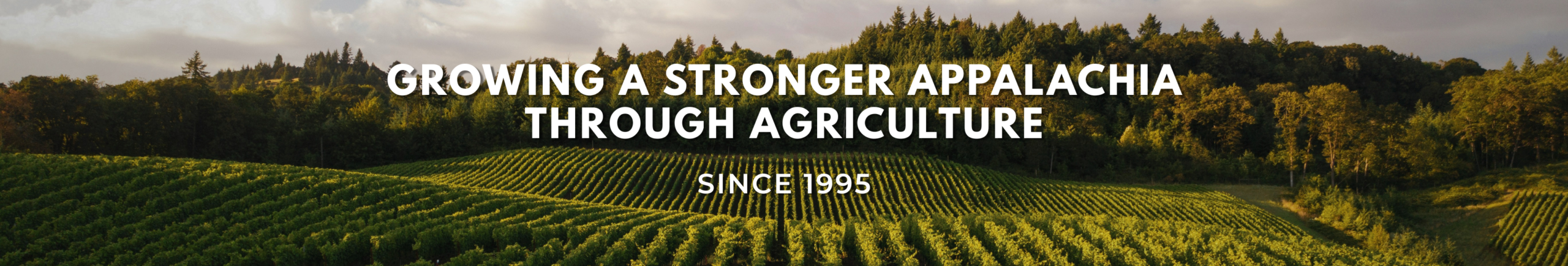 Growing a stronger Appalachia through agriculture since 1995 - 30 years bold